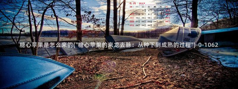 糖行心vlog破解版官网
