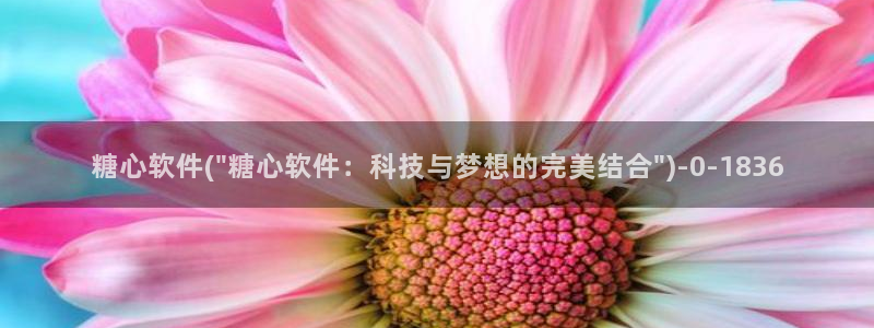糖心vlog破解版网址