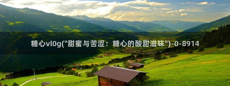 糖心vlog下载网站