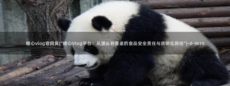 糖心vlog 三秒跳转