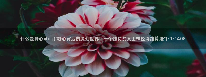 糖心vlog17c
