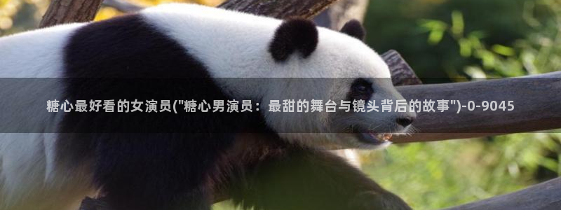 糖心vlog现在