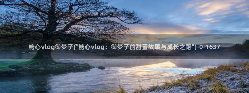 溏心蛋vlog
