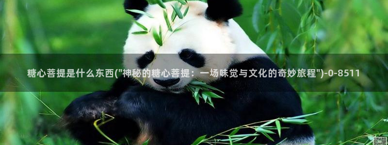 柚子猫糖心vlog肉丝