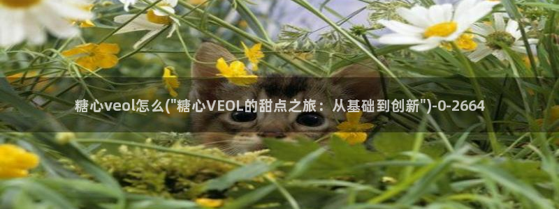 国产传媒糖心vlog
