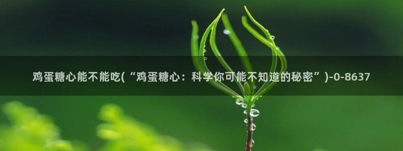 心糖vlog官网